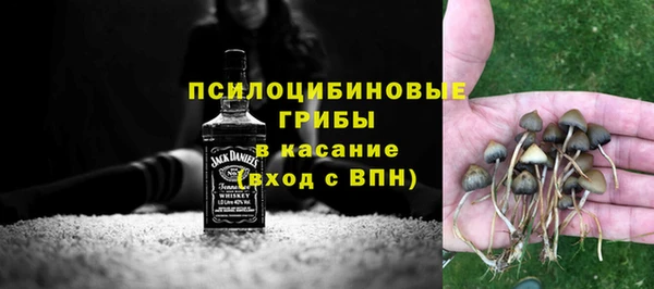 экстази Заводоуковск